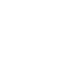 logo Campus ISV NDSC